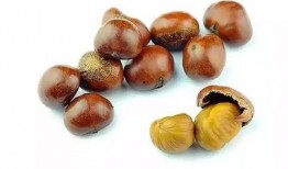 板栗瓜适合经期吃吗,经期适宜食用板栗瓜吗？