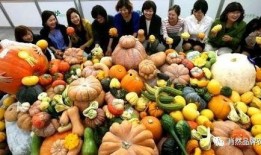 南山种瓜吃瓜,自给自足的生态种植生活实践