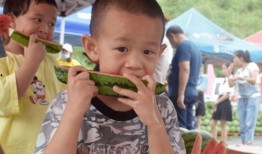 上朝吃瓜,揭秘上朝吃瓜背后的宫廷秘闻