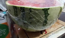 银川能源吃瓜,揭秘吃瓜群众的视角