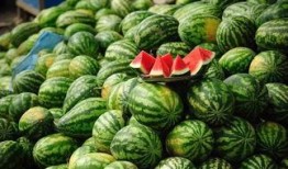 吃鲜瓜胖吗,增肥还是瘦身？揭秘鲜瓜热量真相