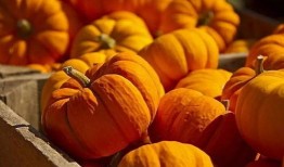 原神南木吃瓜,揭秘游戏背后的趣味故事