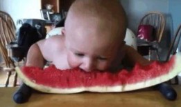 可爱小孩吃瓜视频,童真趣味满满