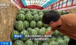 北化吃瓜,吃瓜群众视角下的校园生活点滴