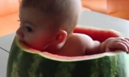 吃瓜视频 婴儿,婴儿萌态瞬间，萌化人心！