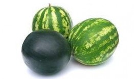 庵埠吃瓜事件,一场引发热议的网络风波揭秘