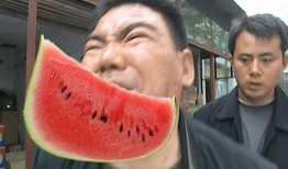 吃瓜的群河南,吃瓜群众的热闹日常