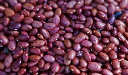 吃蜜罐瓜会长胖吗,揭秘吃瓜长胖的秘密