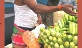 吃白色小瓜拉肚子,揭秘饮食安全与肠胃健康