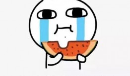 吃瓜大夫,网络红人的崛起与影响力