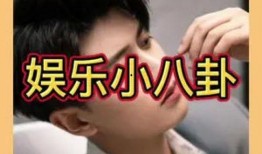 吃瓜群众眼中的明星小说,吃瓜群众眼中的明星风云录