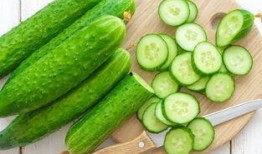 中午午休梦见吃瓜,一场奇幻的午休美食之旅