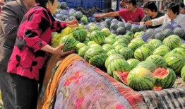 老树瓜 怎么吃,探索传统美食的新境界