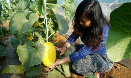 大旺带你吃瓜,尽享味蕾盛宴