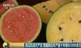 吃瓜全世界,揭秘各国独特的美食文化