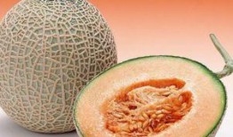 吃哈密瓜asmr,舌尖上的宁静之旅