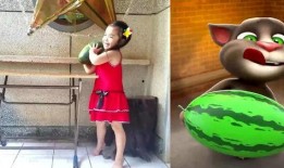 吃瓜汤姆猫,揭秘宠物界的“八卦达人”