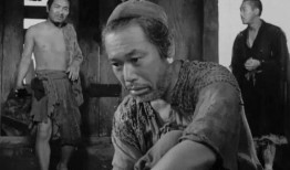 dpf吃瓜,揭秘娱乐圈幕后风云