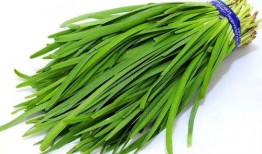 吃瓜蛇舌草,吃瓜者的健康守护神