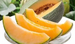 瓜州吃瓜事件最新消息新闻,最新进展揭秘，真相大白！