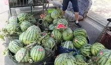 长垣国贸吃瓜事件