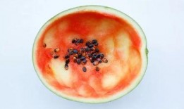 樱花玛瑙吃瓜文案