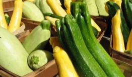 田贝吃瓜,揭秘娱乐圈幕后故事