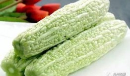 厦门吃瓜事件,一场网络热议背后的真相与反思