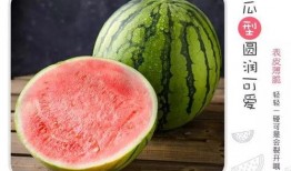 诡界吃瓜,揭秘吃瓜群众的神秘世界