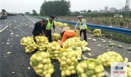 吃瓜的群河南,吃瓜群众的热闹日常