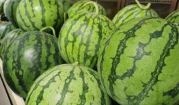 流调 吃瓜,吃瓜群众如何成为疫情追踪的关键力量