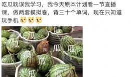 什么是421吃瓜,网络热词背后的文化现象