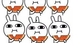 QQ鬼脸吃瓜群,揭秘网络社交圈的趣味与争议