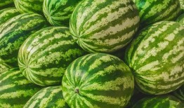 酒吧吃的瓜是什么瓜,揭秘“吃瓜群众”的瓜中奥秘