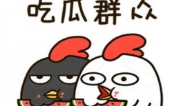 吃瓜队长6,揭秘娱乐圈背后的秘密与真相