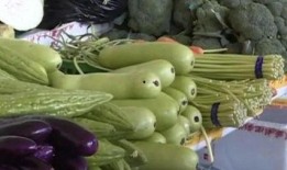 吃占瓜要去种子吗,营养与口感大揭秘