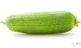 吃占瓜要去种子吗,营养与口感大揭秘