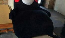 美帝吃瓜群众视频,视频背后的真实故事