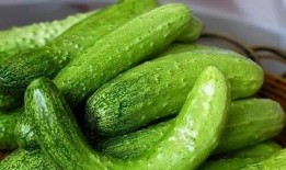 原神南木吃瓜,揭秘游戏背后的趣味故事