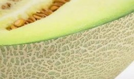 景泰甜瓤瓜怎么吃,景泰甜瓤瓜的多样食法探索