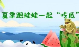 吃瓜群众夏天游戏