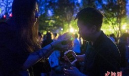 吃瓜群众图片瓜田