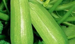 温妍吃瓜,揭秘娱乐圈背后的那些事儿