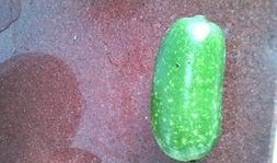 怀孕可以吃瓜咸,瓜果咸食，营养与口感的完美结合