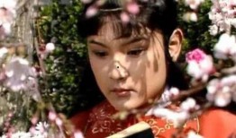 贾宝玉吃瓜的句子,一语道破世间万象