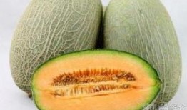 饿肚吃哈密瓜,夏日解馋新选择