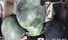 吐鲁番晚上吃瓜