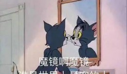 吃瓜汤姆猫,揭秘宠物界的“八卦达人”