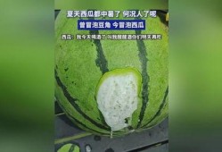 吃瓜喝啤酒吗,吃瓜配啤酒，畅享清凉时光