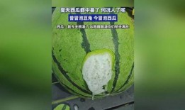 吃瓜喝啤酒吗,吃瓜配啤酒，畅享清凉时光